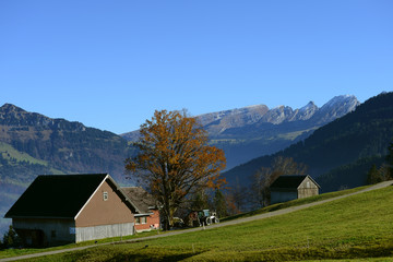Fototapeta na wymiar Churfirsten - Toggenburg - Schweiz