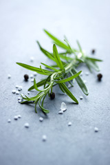 Rosemary with salt and pepper on light blue background.