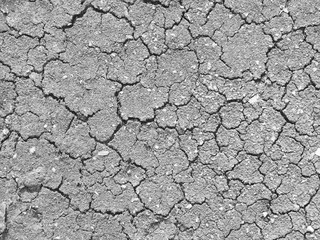 dry cracked soil texture and background on dry season (grayscale)