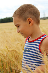 Boy in a wheat field