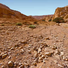 Desert in Israel
