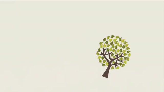 Nature and ecology design, Video Animation 