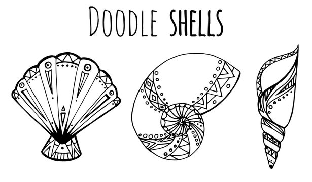 Set of black and white Doodle illustration of seashell 