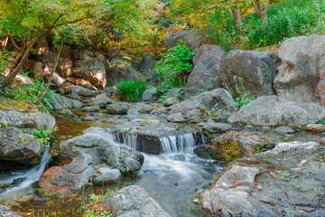 Water falls over a jumble of moss-covered boulders in forest.