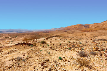 Negev Desert