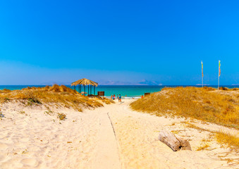 the way to the sea at Tam - Tam beach near Kardamaina village in Kos island in Greece