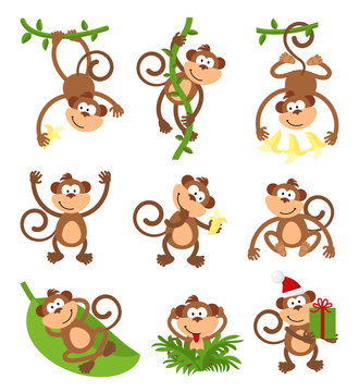Playful monkeys character vector set. Chinese zodiac 2016 New Year symbols