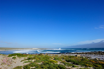 Atlantic coast