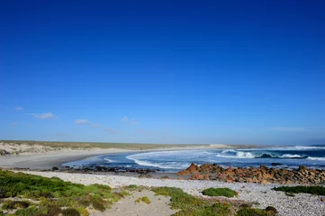 Atlantic coast