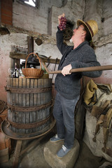 winemaker grapes test