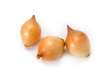 Fototapeta premium ペコロス