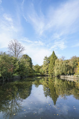 reflection of autumn trees on lake