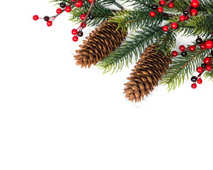 Cone and christmas tree isolated on white