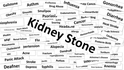 Fototapeta premium Kidney Stone