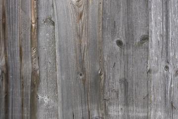 texture of the old grey plank