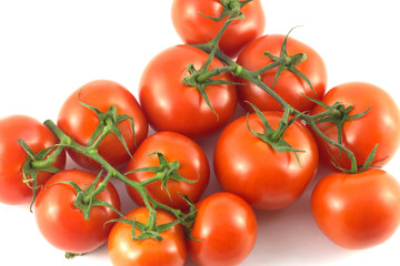 Many ripe red tomatoes on green branches isolated closeup