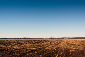 Fototapeta premium Empty Potato Fields