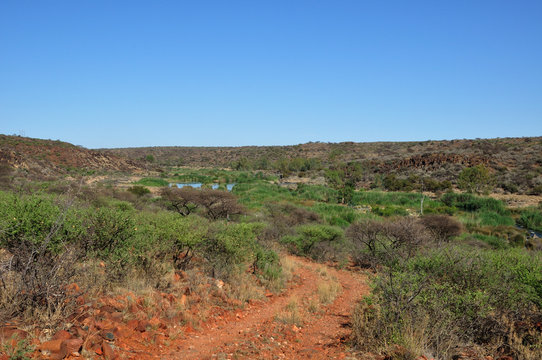 Riet river in Mokala National Park