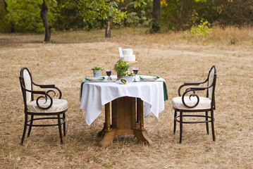 decorated table for two with floral composition on a background of park 