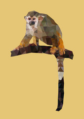 Obraz premium polygonal Common Squirrel Monkey, polygon geometric animal, isol