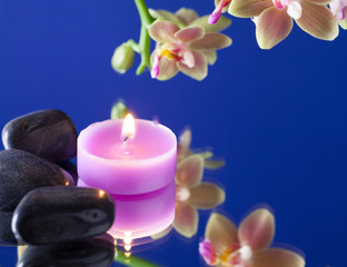 Fototapeta na wymiar candelina con pietre nere e orchidea su fondo blu