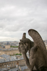 Fototapeta na wymiar gargoyle_Cathédrale Notre-Dame de Paris, landscape of France