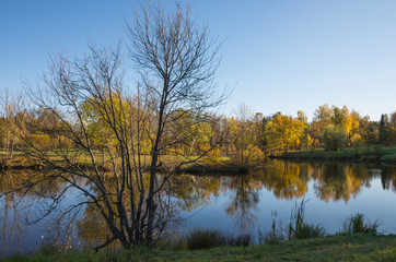 Autumn water landscape with bright colorful yellow leaves in Saint-Petersburg region, Russia.