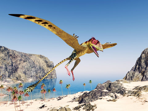 Pterosaur Peteinosaurus