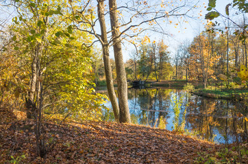 Fototapeta na wymiar Autumn water landscape with bright colorful yellow leaves in Saint-Petersburg region, Russia.