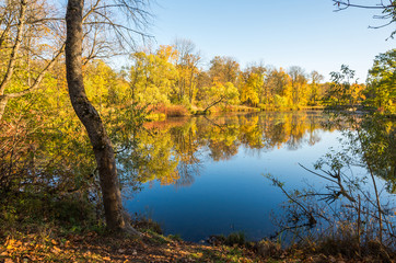 Autumn water landscape with bright colorful yellow leaves in Saint-Petersburg region, Russia.