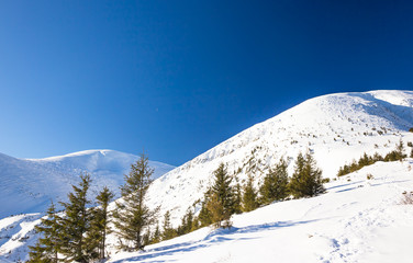 Fototapeta premium Winter mountain landscape at sunny day