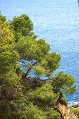 mar mediterraneo costa brava girona