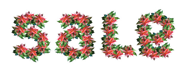 Sale flowers, poinsettia