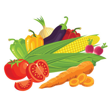 Set of vegetables. Tomato, radishes, carrots, peppers, onions, eggplant. Sliced carrots, sliced tomato. Corn on the cob with husks.