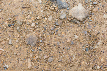 close up of brown ground
