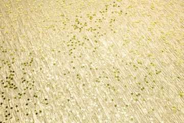 christmas glittering star background