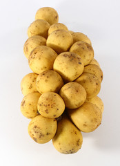 Wollongong on the white background