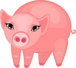 Pink pig 
