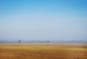 Fototapeta premium Sunny meadow. Hills in the sunlight.