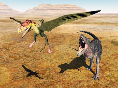 Tarbosaurus attacks Peteinosaurus