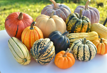 Pumpkins and squashes