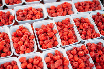 Assortment Of Fresh Organic Red Berries Raspberries At Produce L