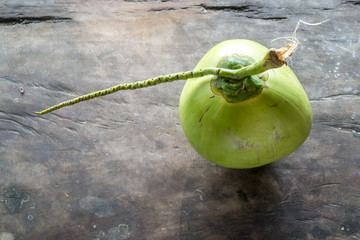 green coconut on wood background © aon_skynotlimit