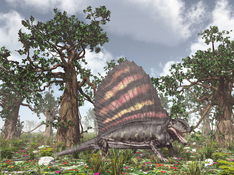 Pelycosaur Dimetrodon