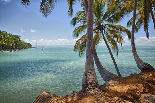 &icirc;le du Salut - Saint Joseph