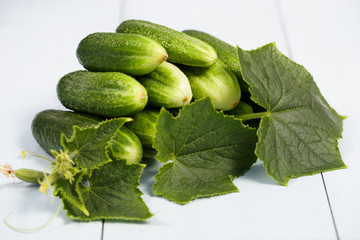 Cucumbers with leaves on wooden table