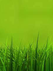 Conceptual green 3d grass field or lawn on green background