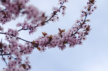 Spring.