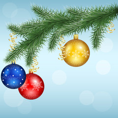 vector winter background with snowflakes and pine branches