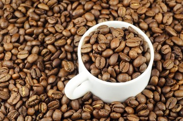 Coffee Bean.